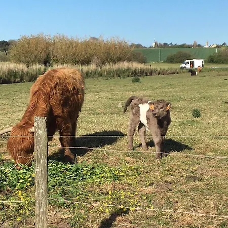 Villa La Cricque Cricqueville-en-Bessin