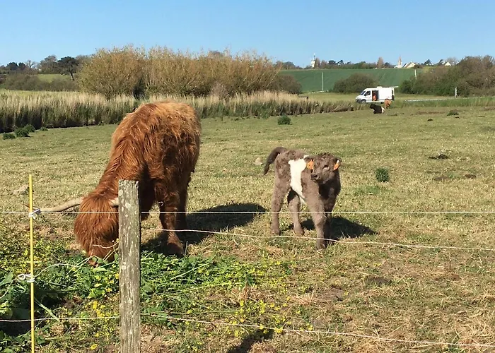 Villa La Cricque Cricqueville-en-Bessin